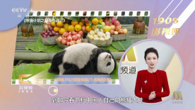 色综合色综合色综合